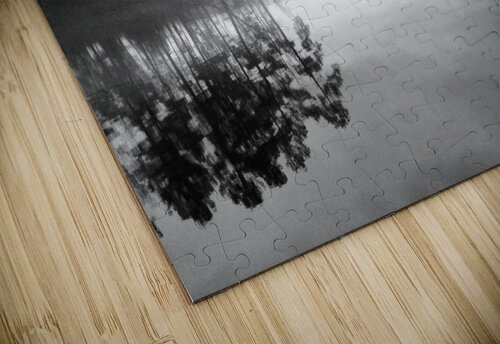Foggy Reflections Dick Davis puzzle