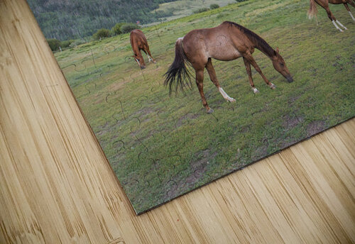 Good Grazing Dick Davis puzzle