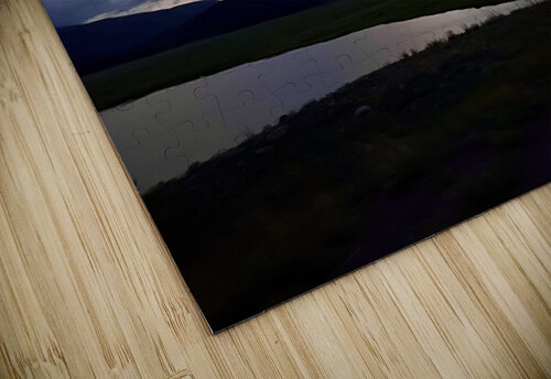 Night Falls Dick Davis puzzle
