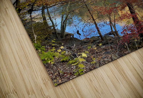 Fall on the Ocoee Dick Davis puzzle