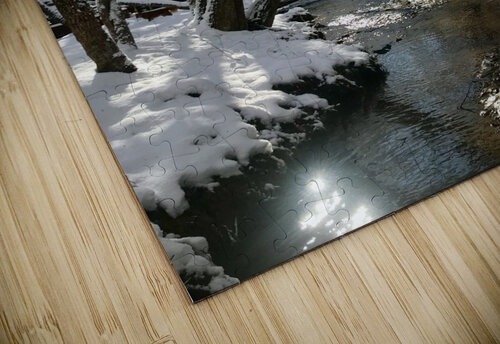 Snowy day Dick Davis puzzle