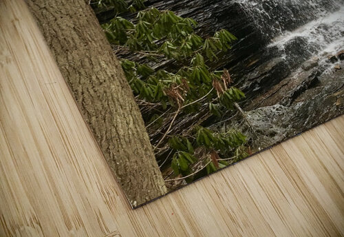Benton Trail Falls Dick Davis puzzle