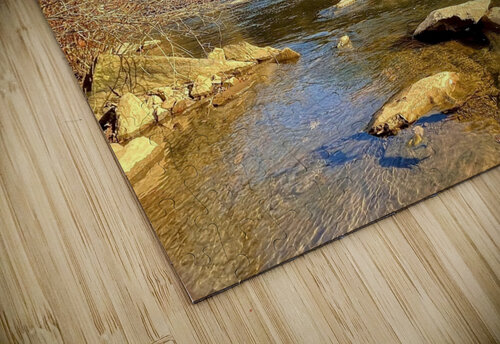 Ocoee River Foliage Dick Davis puzzle