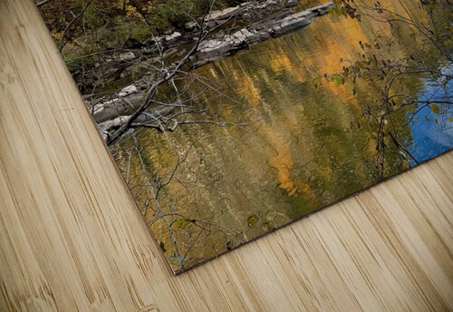 Ocoee River Fall Day Dick Davis puzzle