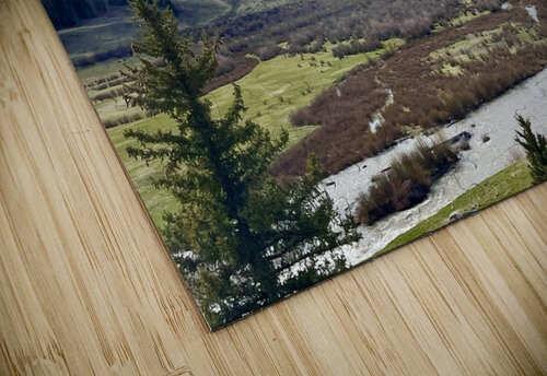 Cold Spring day  Dick Davis puzzle