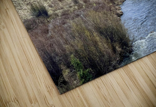 Brewster Park River  Dick Davis puzzle