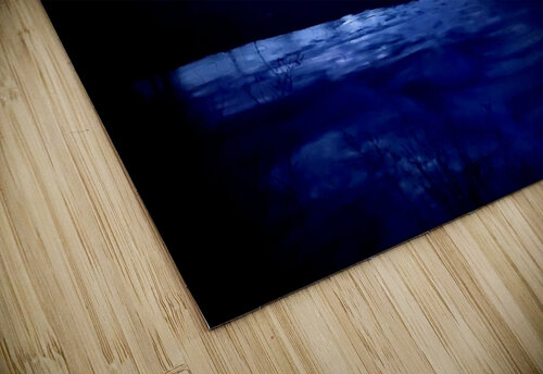 Night Blues  Dick Davis puzzle