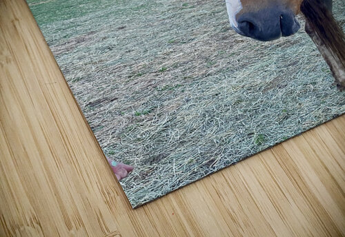 Painted pony Dick Davis puzzle
