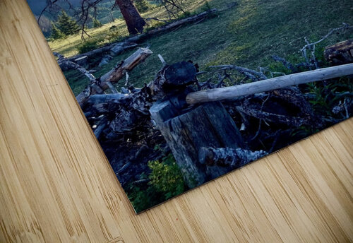 Waiting on Sunset  Dick Davis puzzle