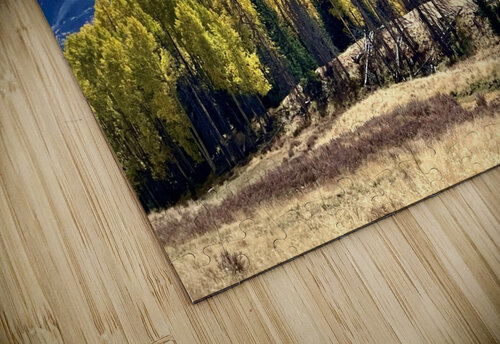 Aspen line  Dick Davis puzzle