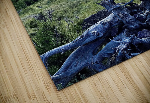 Sunset over the Rio Dick Davis puzzle