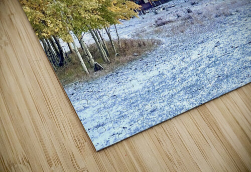 Fire and Ice Dick Davis puzzle