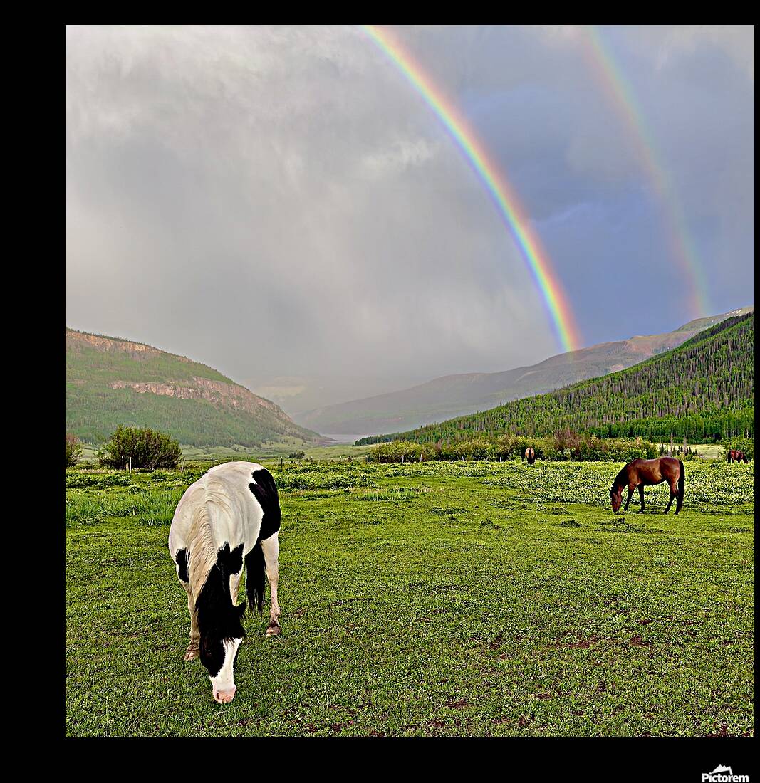 Rainbow Paint Reproduction