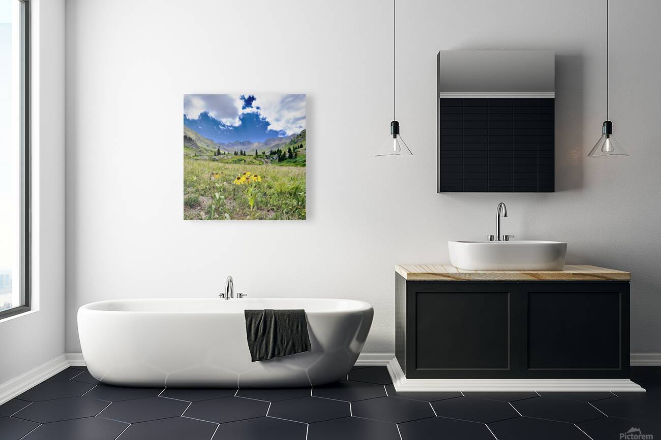 American basin Reproduction