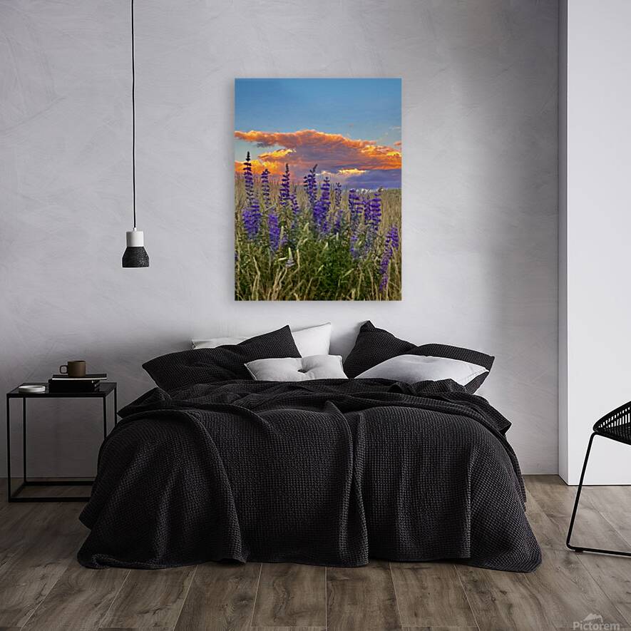 Lupine Sunset Reproduction