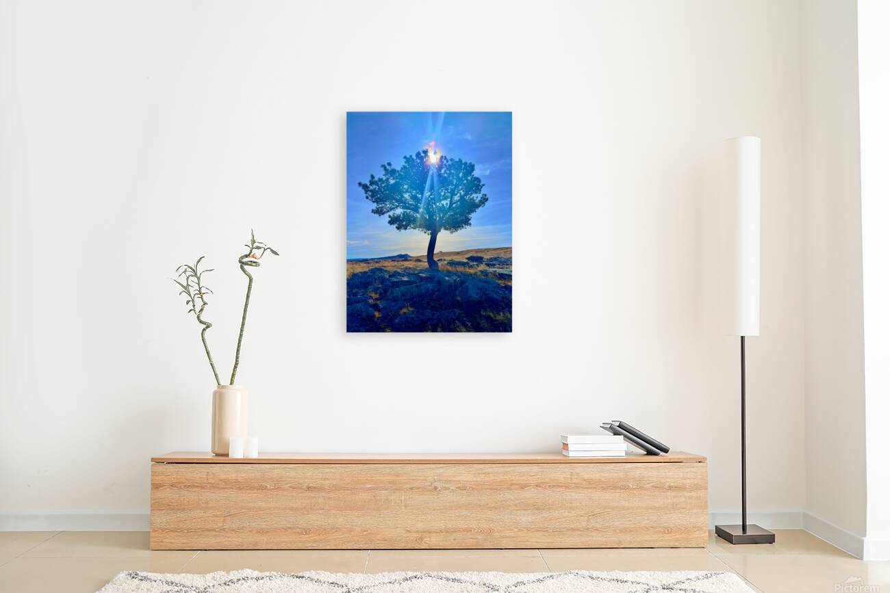 Lone Tree hill Reproduction