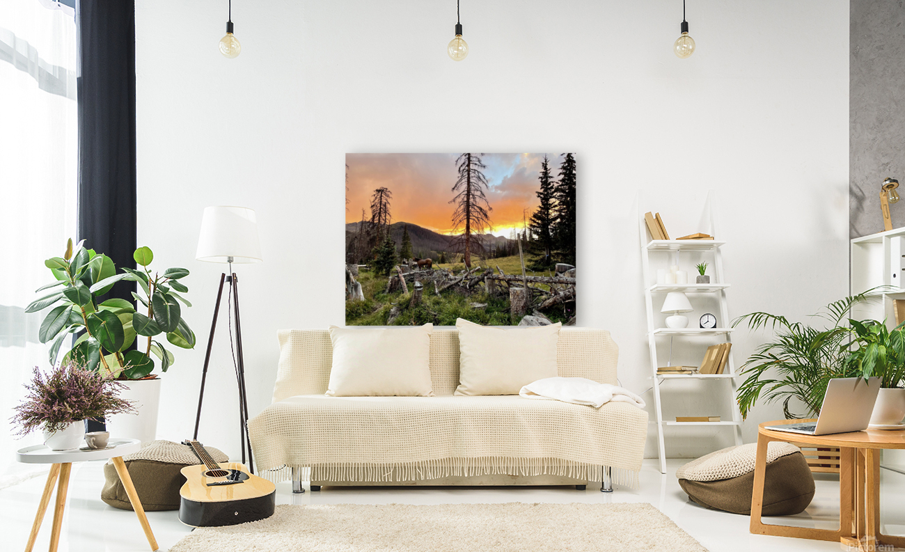 High Mountain Camp Sunset  Reproduction