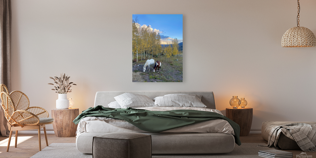 Sunset Grazing Reproduction