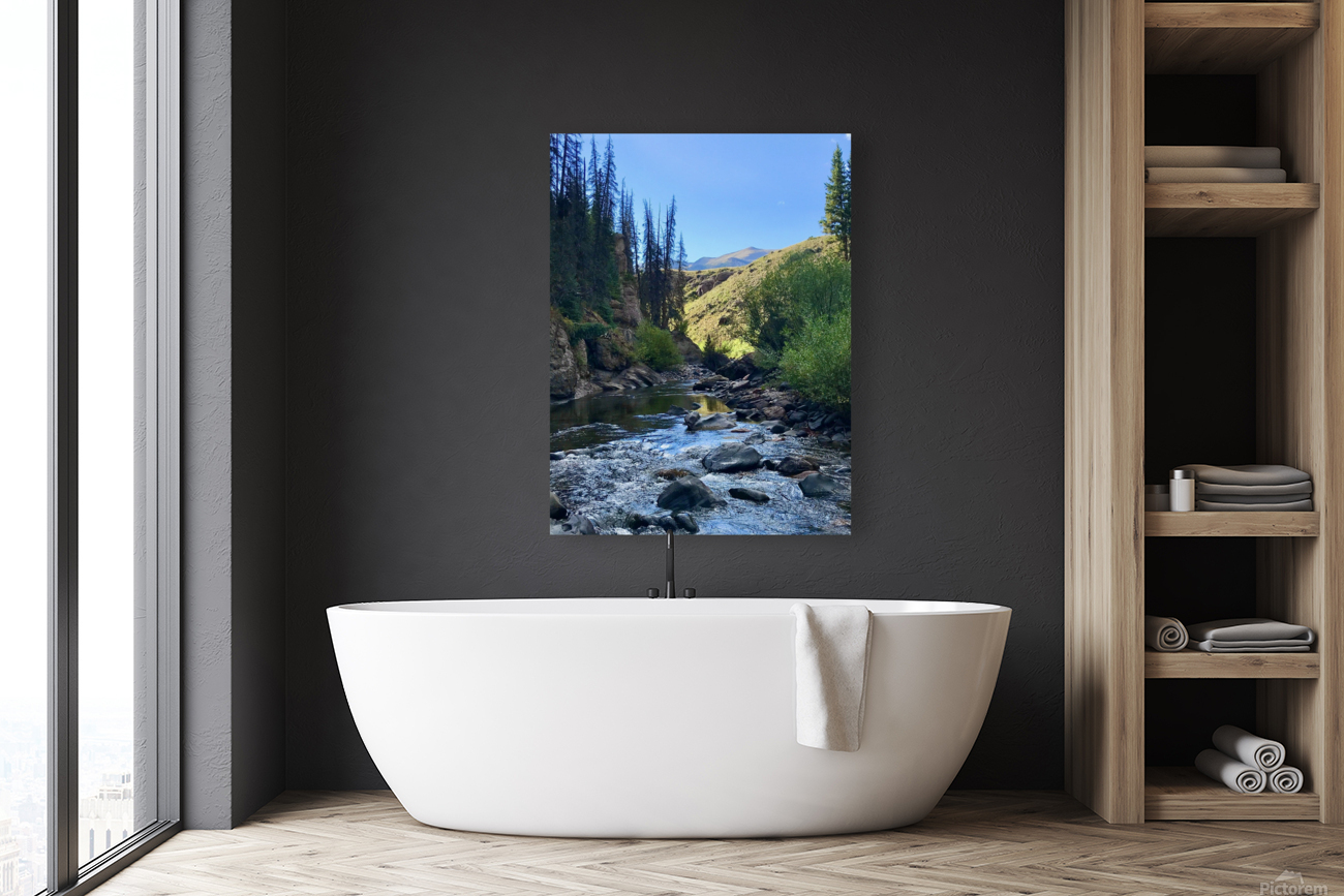 Stream Reflections Reproduction