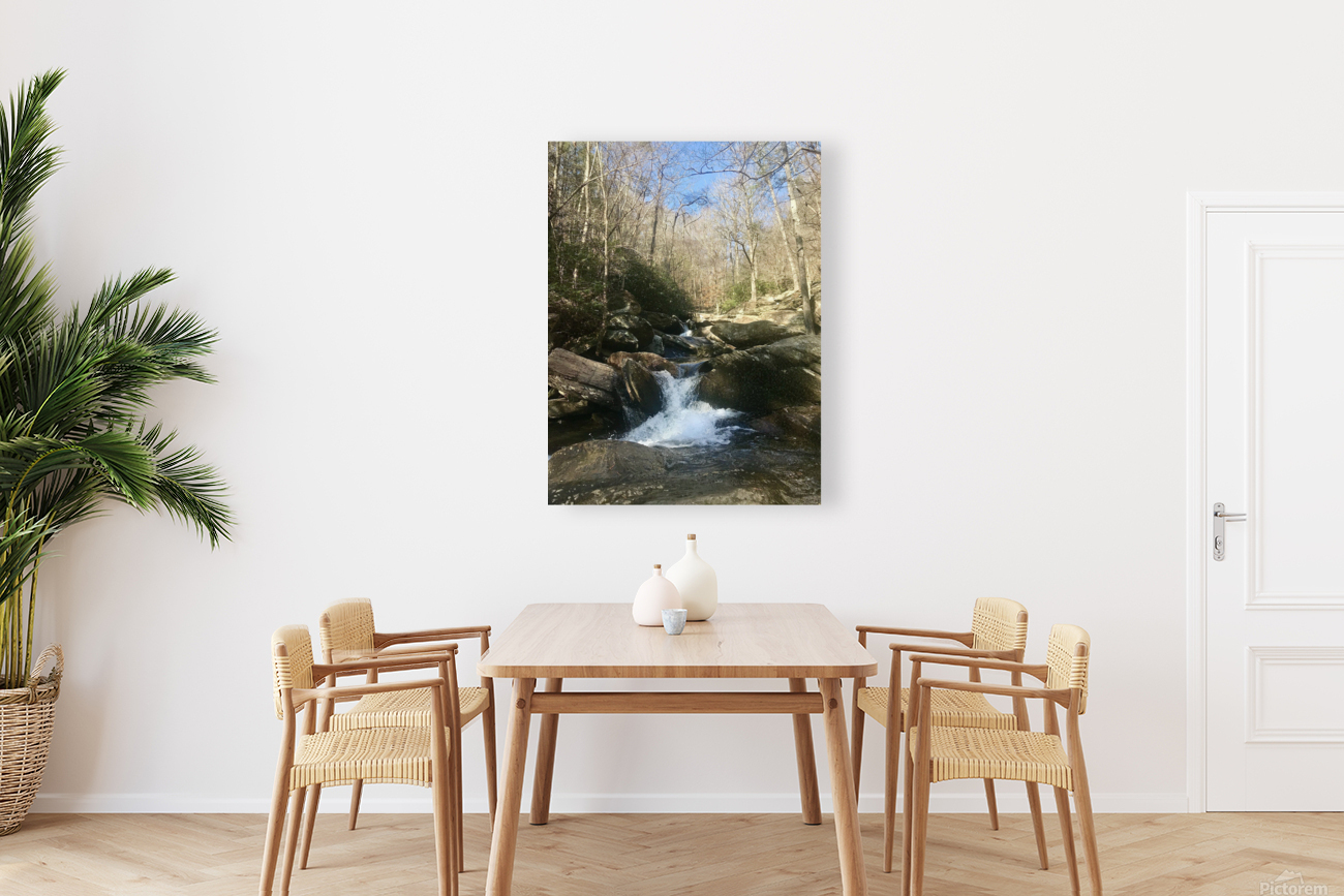 Go Forth Creek Reproduction