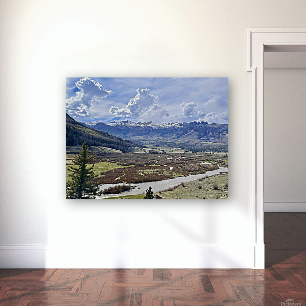 Cold Spring day  Reproduction