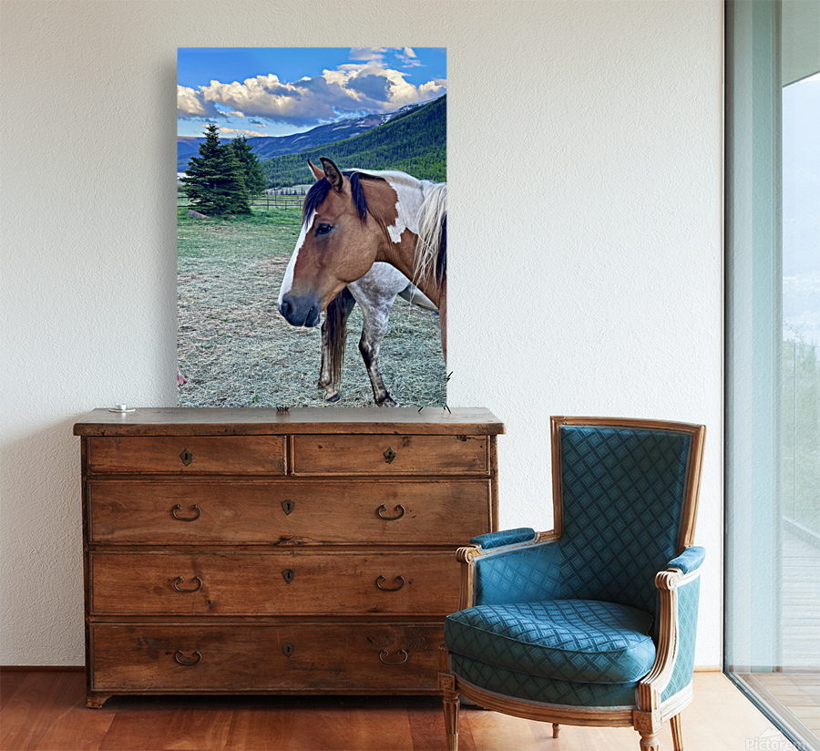 Painted pony Reproduction