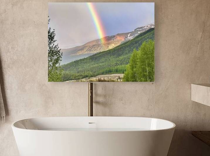 The End of the rainbow by Dick Davis