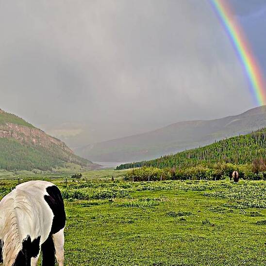 Rainbow Paint by Dick Davis