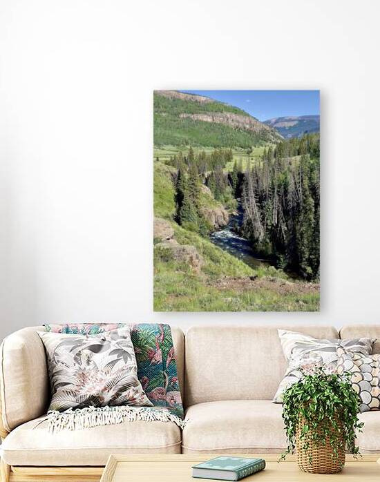 Rio headwaters canyon by Dick Davis