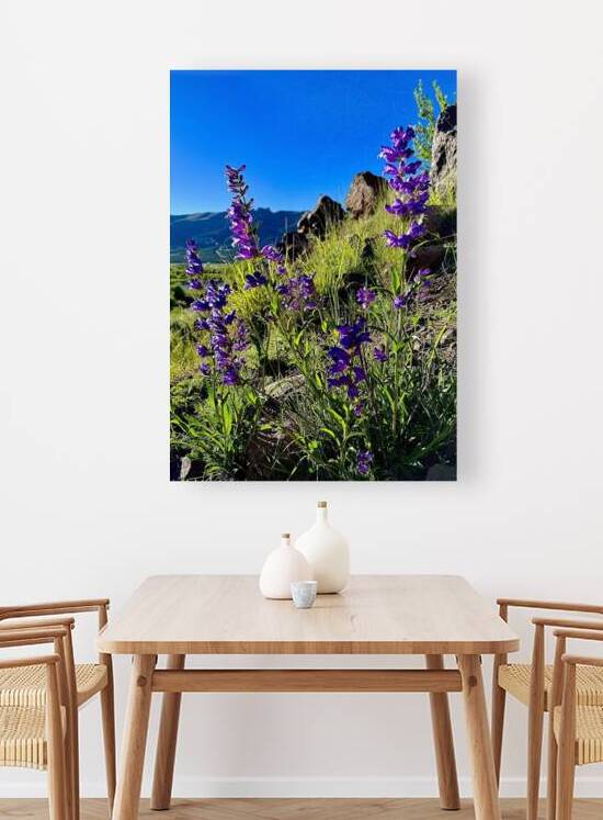 Purple Mountain’s Majesty by Dick Davis