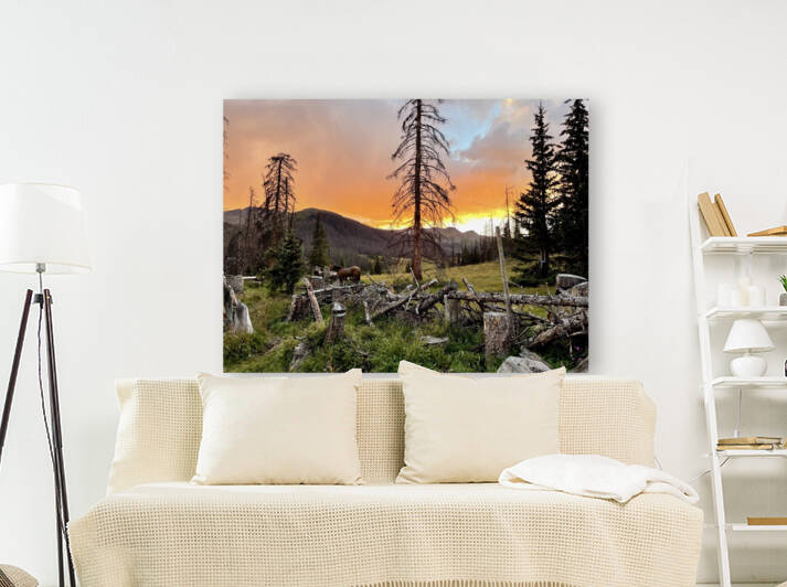 High Mountain Camp Sunset  Reproduction