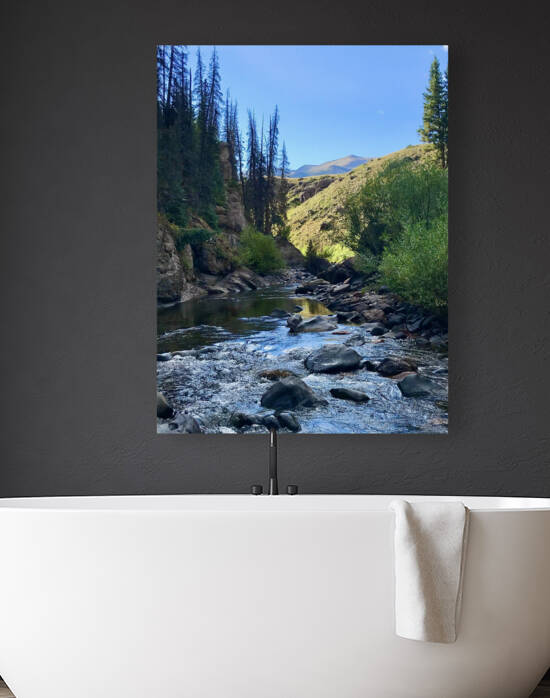 Stream Reflections Reproduction
