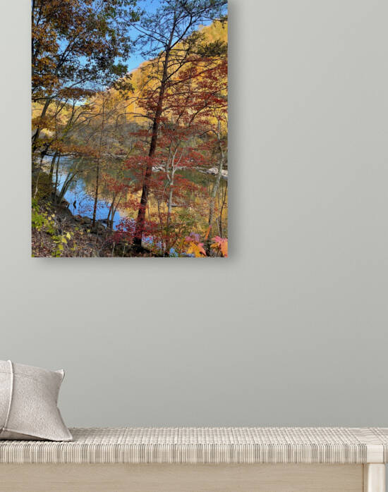 Fall on the Ocoee by Dick Davis