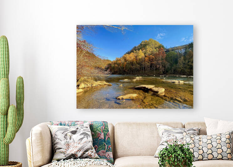 Ocoee River Foliage by Dick Davis