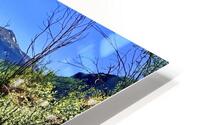 Brewster Park HD Metal print