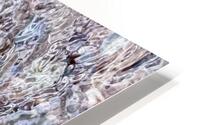 Resting Brook HD Metal print