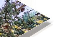 Headed to camp HD Metal print