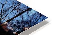 Winter welcome HD Metal print