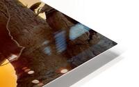 Driftwood sunset  HD Metal print