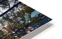 Fall is near  HD Metal print