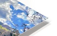 Upper Rio Grande Evening HD Metal print