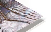 Brook Trout arrow head HD Metal print