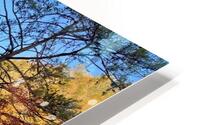 Fall on the Ocoee HD Metal print