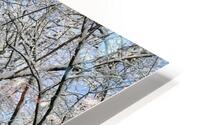 Snowy day HD Metal print