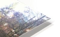 Fires Creek fall evening  HD Metal print