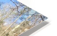 Go Forth Creek HD Metal print