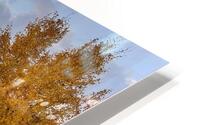 Dual fire HD Metal print