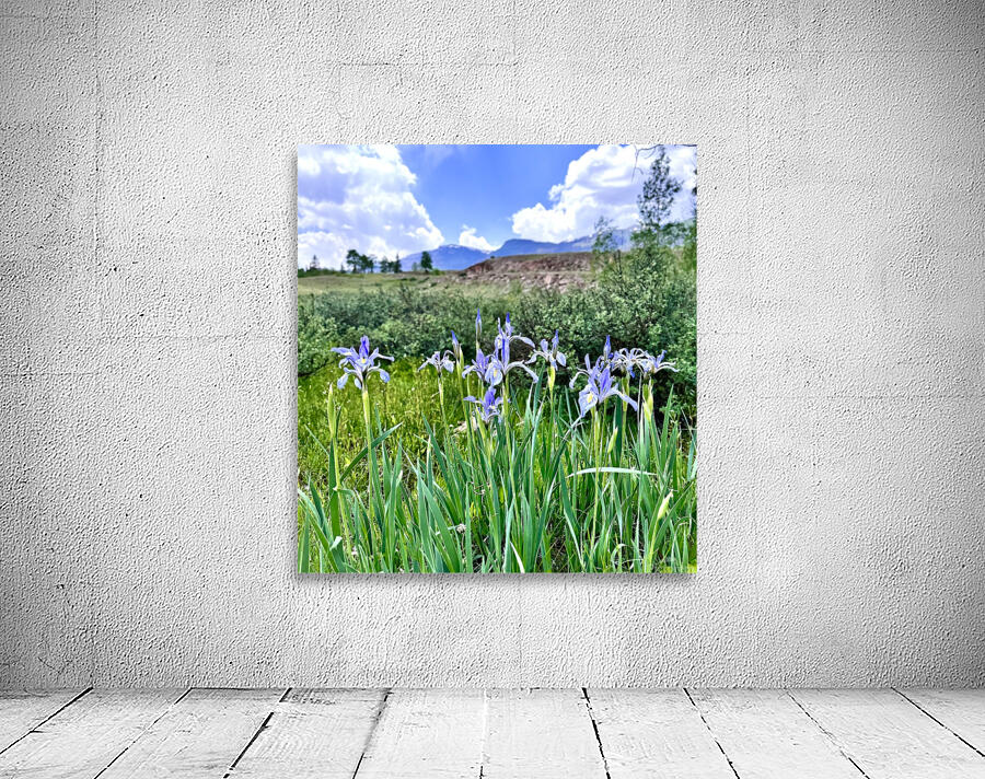 Spring Flowers Wall Preview