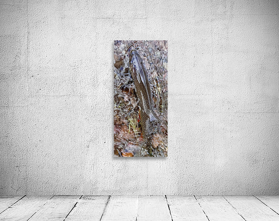 Resting Brook Wall Preview