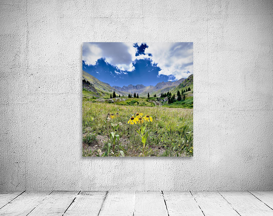 American basin Wall Preview